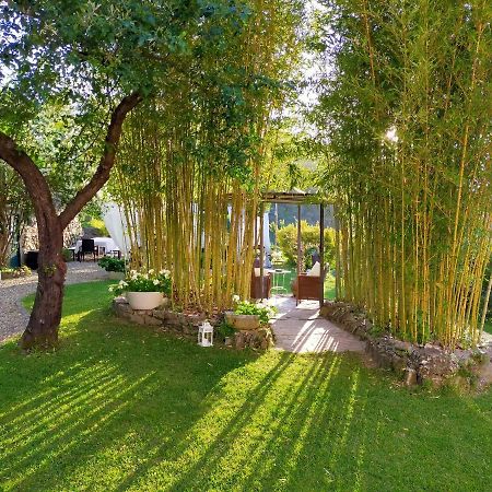 Agriturismo Casa Olivieri Sestri Levante Exterior foto